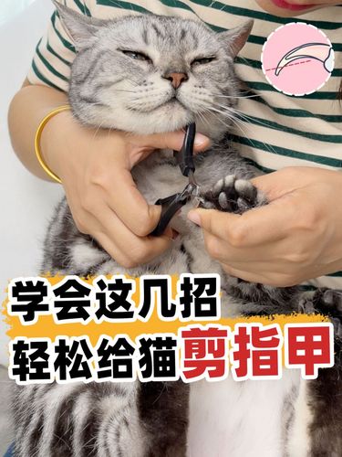 猫咪抗拒剪指甲?2招轻松搞定_猫咪_碘伏_伊丽莎白怎么