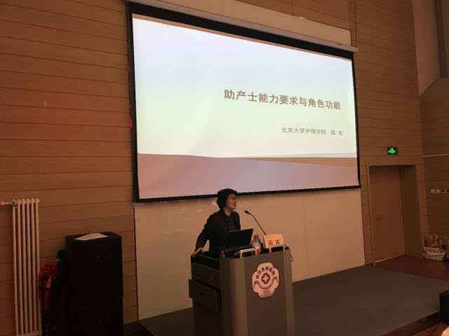 北京大学护理学院陆虹教授做了题为《以核心胜任力为导