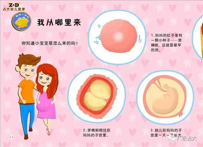 我从哪里来