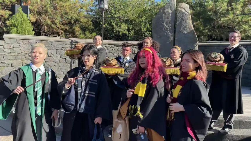 听说霍格沃兹有一个"青蛙合唱团",会在特殊场合演出
