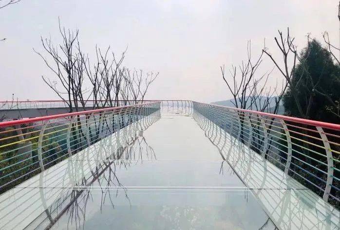 龙泉再添网红打卡点!"城市之眼"纳入秋季郊游计划!