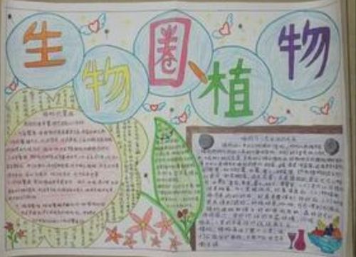 科尔沁实验初中七年十七班地生手抄报第一期