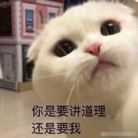儿童带字表情图片大全可爱图片
