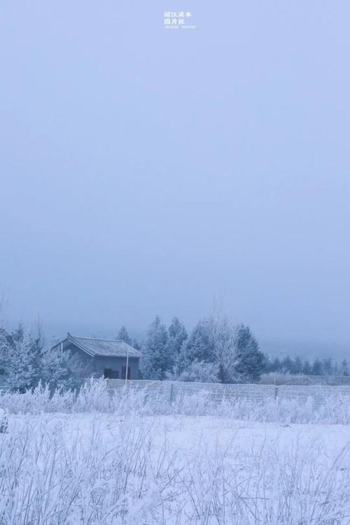 丽江最美雪景图曝光!下雪了,丽江人不正常了?