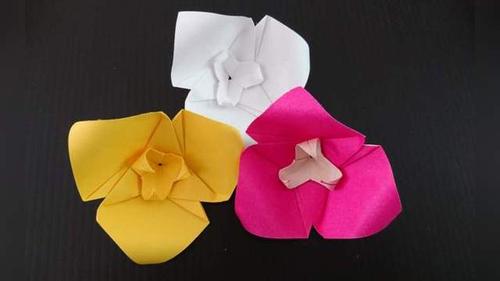 折纸三角梅 三色堇