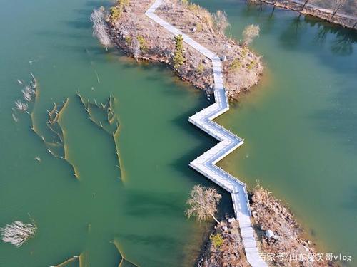 安丘休闲新去处,市北区有个青龙湖旅游公园,免费的!