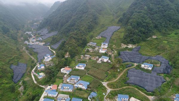 好日子要来了!佛山牵手凉山雷波,高山峡谷间闯出致富新路|榜样的力量