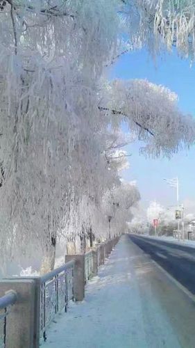 节气大雪# 我的家乡吉林市,雾凇雪景.