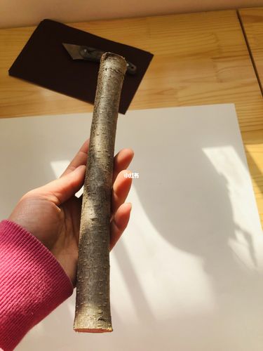 桃木剑 亲手制作_我的手工日常_兴趣爱好_手工