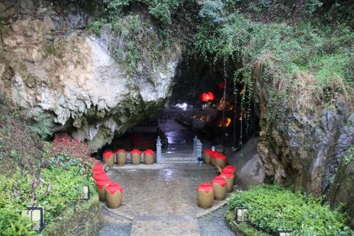 踏青赏花去哪里?正安桃花源记景区——诗里的远方