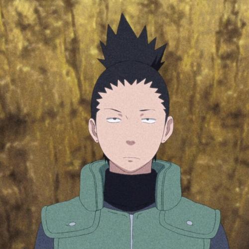 火影头像微博:春野樱子