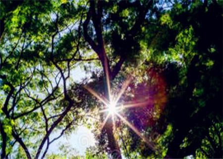 八字木火通明是什么意思