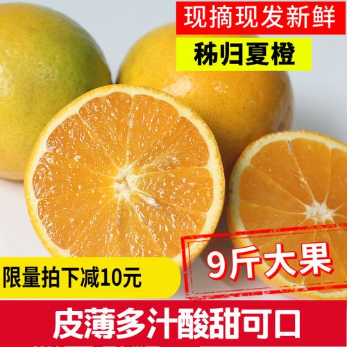 现摘夏季鲜橙秭归夏橙新鲜橙子当季时令水果脐橙薄皮榨汁专用 淘宝 份
