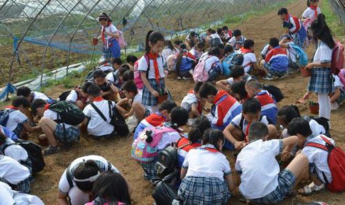 2019年漯河市郾城区伊坪小学走进沙澧春天研学旅行活动锦集