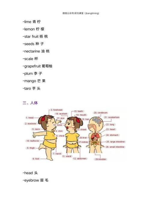 超全的英文词汇图解,涵盖所有生活场景之教室,水果超市,人体