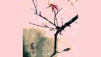 春雪-唐代刘方平诗作