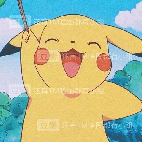 皮卡丘这个是情头吗