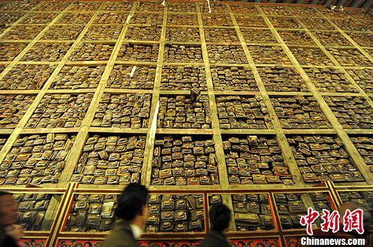 图片频道最新图片