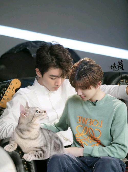 电视剧余生请多指教在线完整观看全免费加长版完结