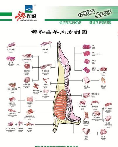 清真厂家供应优质羔羊肉分割产品