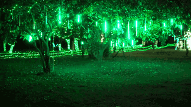 天黑了试个灯 随便拍拍都好美呢