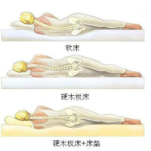 弯曲,如果床垫太硬,睡在上面腰椎又会悬空,都不利于腰椎生理曲度的