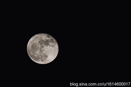 今夜月明人尽望, 不知秋思在谁家.