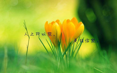 为梦想奋斗励志图片壁纸图片