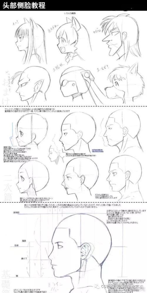 侧脸和正脸的简笔画