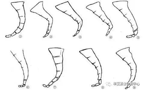 如何诊断骶尾骨骨折?(附病例)