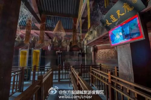 过去无可挽回未来可以改变出发去东方盐湖城悟一场人生之道