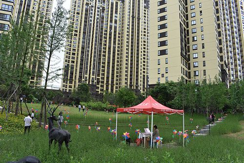 5月6日,[仕府大院 百鸟朝凤,灵动安康]百鸟展活动如期而至,这是一场