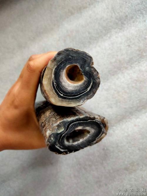 黄花梨木盒装御用牛角,角质纹理清晰,匹克老辣,保存完好,实物如图.