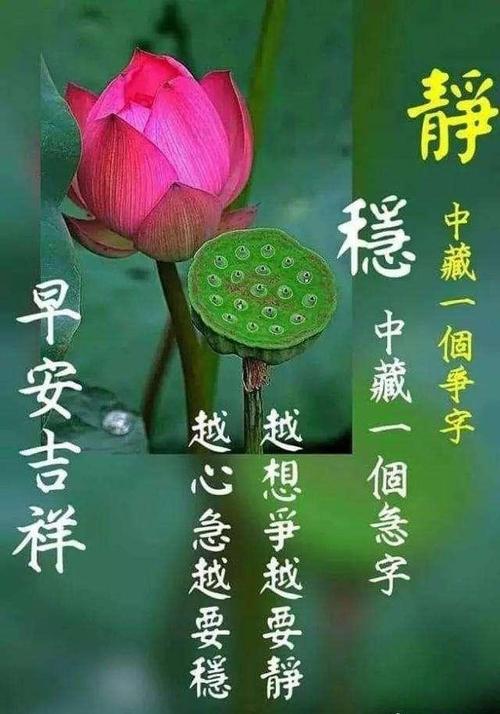早安拼搏正能量问候句子,清晨早上好问候祝福吉祥表情