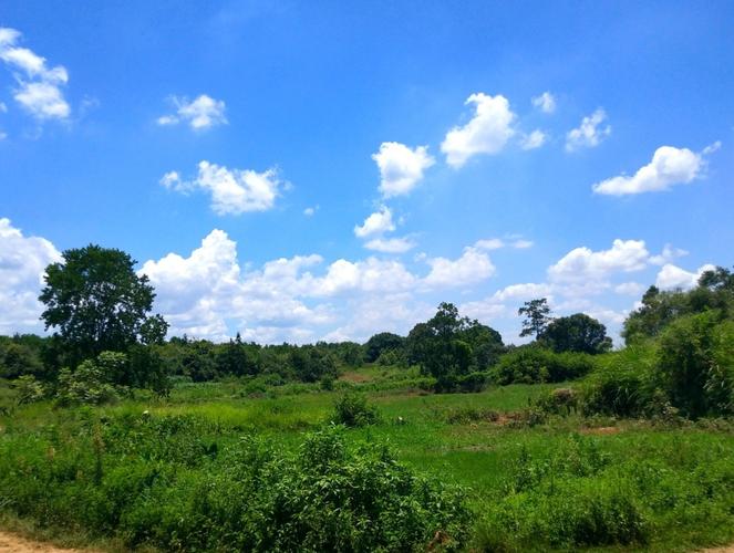 行走在乡村,空气是那样的清新,天空是那样的蓝,我的心是那样的