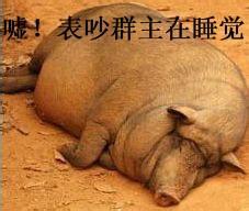 嘘,别吵群主睡觉 - 群主搞笑qq表情图片大全