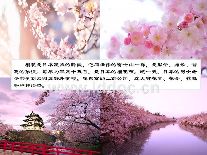 日本介绍(幼儿园版).ppt