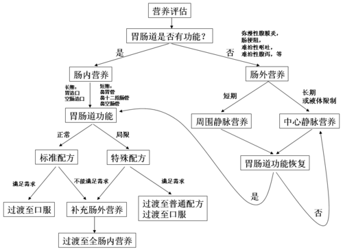 营养支持途径的选择
