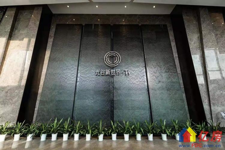 光谷新世界t1写字楼精装出租