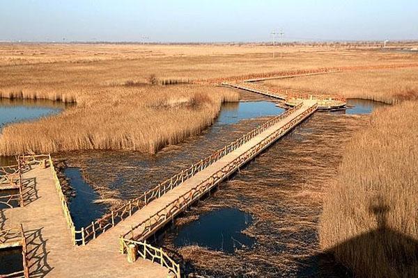 2021山东东营春节免费景区东营就地过年政策