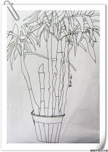 文竹简笔画儿童画