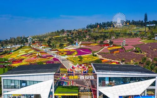 同时也将为音乐百花谷景区内的旅游发展提供更完善的基础便民设施服务