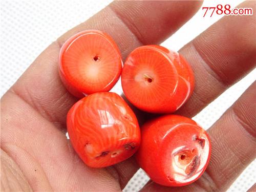 a海竹扁珠四颗一起出