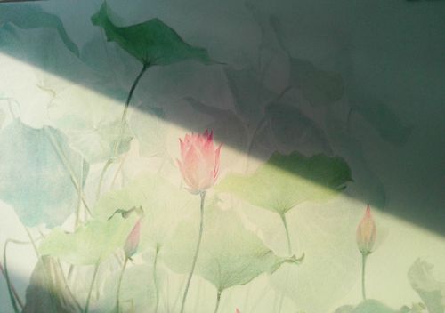 今年夏天画的  #小荷才露尖尖角