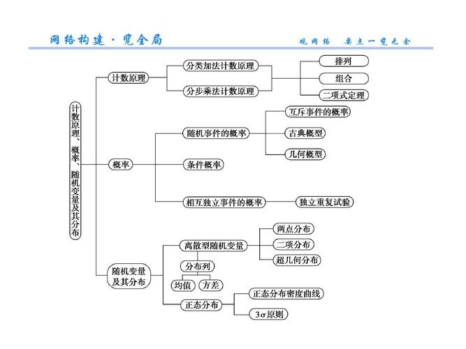 高中数学一轮复习计数原理,概率,随机变量及其分布 第