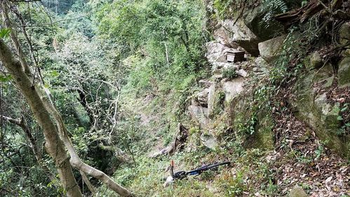 厦门同安:祥溪林场-美宫村-西坑穿越茶园-白交祠南-山