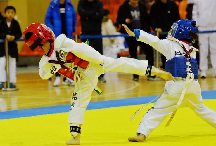 2019年慈溪市第九届小学生跆拳道比赛落幕