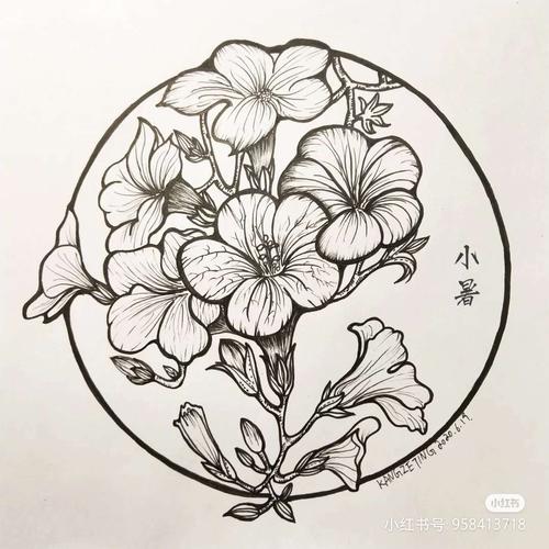 植物线描