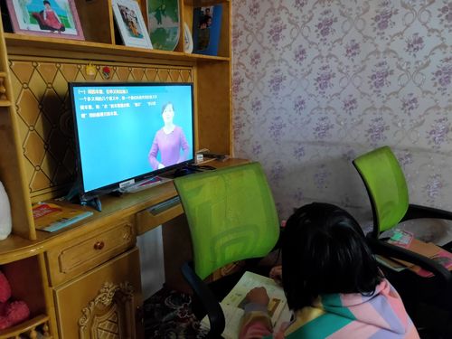 学生看电视学习.