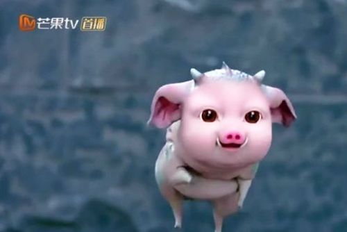 《琉璃2》可以融入删减版,当康考虑进化,鸟尊值得拥有